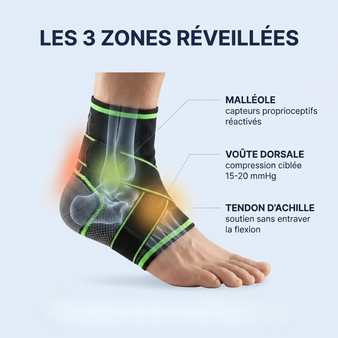 Chevillière de maintien — Soulagez votre cheville | Sameo™